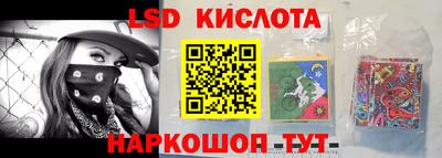 дживик Кандалакша